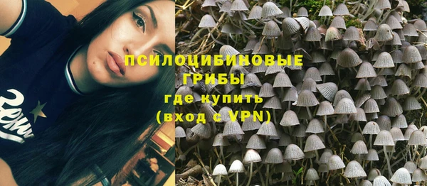 дурь Белоозёрский