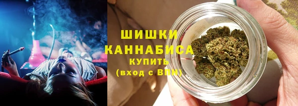 хмурый Богородицк