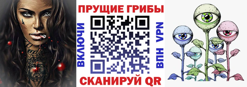 Псилоцибиновые грибы мицелий Чудово