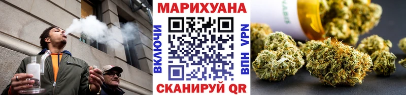 где купить наркотик  Чудово  Бошки марихуана Ganja 